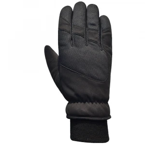 2021 OEM Waterproof Hot Selling Best Quality Warm Winter Ski Gloves/Snow Gloves