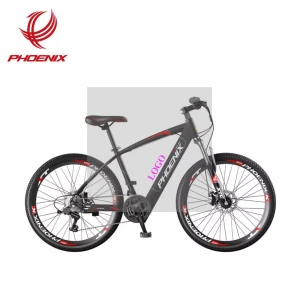 2021 Phoenix Lithium Battery Bicycle   26 Inch 16AH  Brushless Motor LCD Display 21 Speeds Electric Mountain  Bicycle