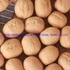 2021new Season Xinjiang Paper Shell 185 Walnut and Xin 2 Thin-Shell Walnut for Exporting