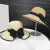 Import 2024 New Fashion Straw Hat Custom Wide Brim Wholesale Outdoor Beach Hat Ladies Style Foldable Panama Hat With Bowknot Ribbon from China
