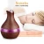 Import 300ml Wood flower vase mist Humidifier with 7 colors LED night light YX-188 from China