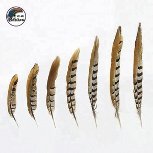 4-6 Inch(10-15 cm)Chinese Top Manufacturer Best Selling Cheap  Natural Reeves Pheasant Tail Feathers for hat and pen