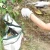 Import 5 Pcs Women Bonsai magnalium Garden Hand Tool Set with Plastic Handle from China