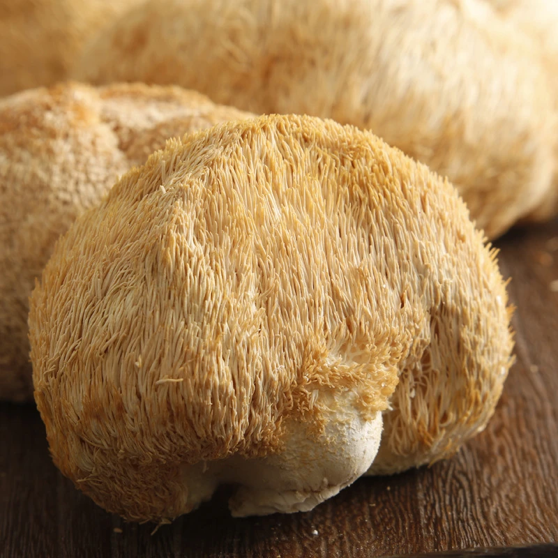 9019 Hou tou gu dried organic Lions mane mushroom for health