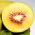 A Grade Good Selling Product Fresh Delicious Taste Sweet Juicy Red Heart Kiwi Fruits