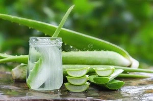 Aloe Vera Juice Organic Gel Drink
