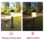 Import AMAZON HOT SALE 2020 new high quality auto work sensor Solar garden light for outdoor lawn backyard path from China