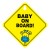 Import Amazon Hot Sale Custom Baby On Board Warning Sign Car Sticker With Suction Cup from China