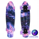 Amazon hot sell complete Skateboards with big Colorful Flashing Wheels for Teenager and adults Cruiser Skate Board