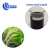 Import Amino High-effective Organic Liquid Fertilizer from China