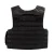 Import Army tactical bullet proof vest tshirts molle police military supplies from China