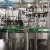 Import Automatic Linear Type Wine Bottling Line Champagne Wine Corking Machine from China