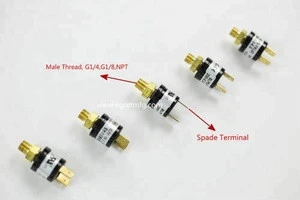 Automatic Reset Non Adjustable SPST Pressure Switch