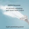 Automatic Travel Garment Steamers Steam Brush  transparent water tank