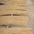 Import Bamboo strip from China