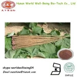 Bardana Extract Powder, Happy Major Extract, Burdock Root Extract