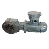Beiji S series worm gear speed reducer motor from China