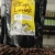 Import Best Seller Kopi Luwak Arabica Indonesia Coffee Beans from Indonesia