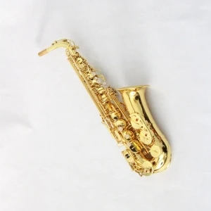 Best Selling Orchestra B Flat Engraved Gold Lacquered Alto Saxophone