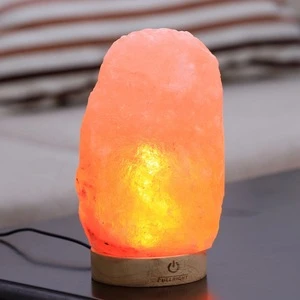 Bestseller himalayan salt hand carved craft crystal Organic Material night lamp USB cable Dimmable Touch Switch rechargeable