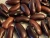 Import Black Kidney Beans from South Africa