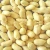 Import Blanched Bold Peanuts With Quality from India