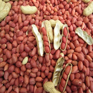 Blanched Peanuts&amp;Peeled Peanuts