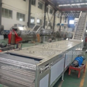 Blancher/vegetable And Fruit Blanching Machine