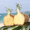 Bogor Pineapple