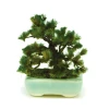 bonsai japanese tree miniature