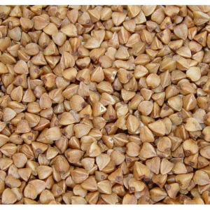 buckwheat Best Quality organic dried roasted