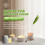 Bulk Natural Fragrance Oils Manufacturer, Wholesale Concentrated White Tea Oil For Scented Candle Making | COSMETIC GRADE