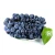 Import Bulk sell superior seedless red grapes/grapes/fresh grapes fruit from china orchard from China