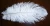 Import Bulk White Feathers Ostrich Feathers Artificial Ostrich Feathers from China