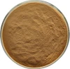 Burdock Root Extract Powder in Bulk