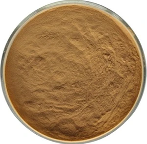 Burdock Root Extract Powder in Bulk