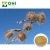 Import Burdock Seed Extract 40% Arctiin from China