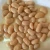 Import Canned Broad Beans in Canned vegetables Canned Pinto Beans Italy from China