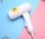 Import Cartoon printed colorful lightweight household travel use 450w foldable cute mini hair dryer from China