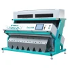 CCD Coffee Bean Color Sorter/ Sorting Machine (378channels)