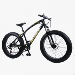 cheap 24/27 speed 24/26inch adult fat tire snow beach cruiser bicycle mountain bike