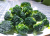 Import cheaper fresh vegetable  frozen Broccoli from China
