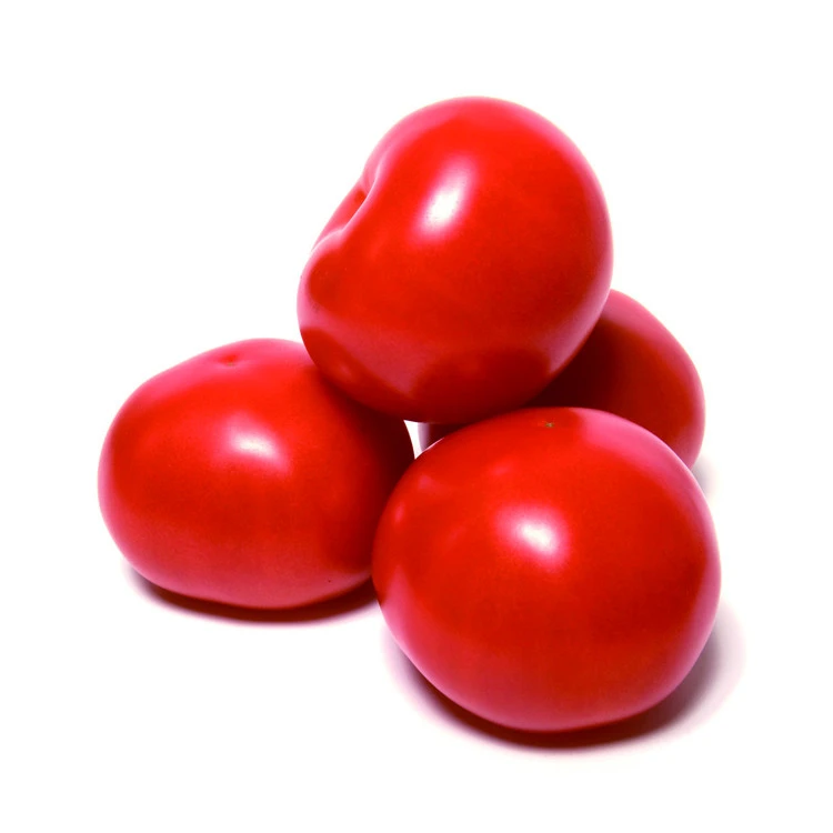 China 2020 new crop red tomatoes fresh tomatoes