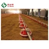 China Factory Supply Animal Automatic Feeders for Poultry Chickens