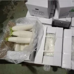 China fresh radish FDA approved vegetable