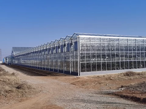 China Large Venlo Type Multi Span Glass Greenhouse agricultural For Seed Breeding