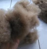 CLEAN Combed Cashmere wool fiber with SUPER quality