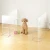 Import Clear acrylic pet playpens from China