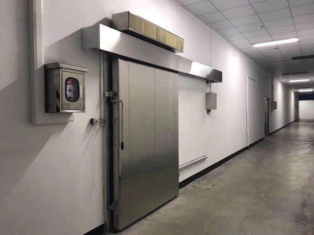cold storage chiller room for ice cream fish packed meat