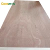 Comsmos 9mm 12mm 15mm 18mm Bintangor Okoume Birch Pine Faced Commercial Plywood